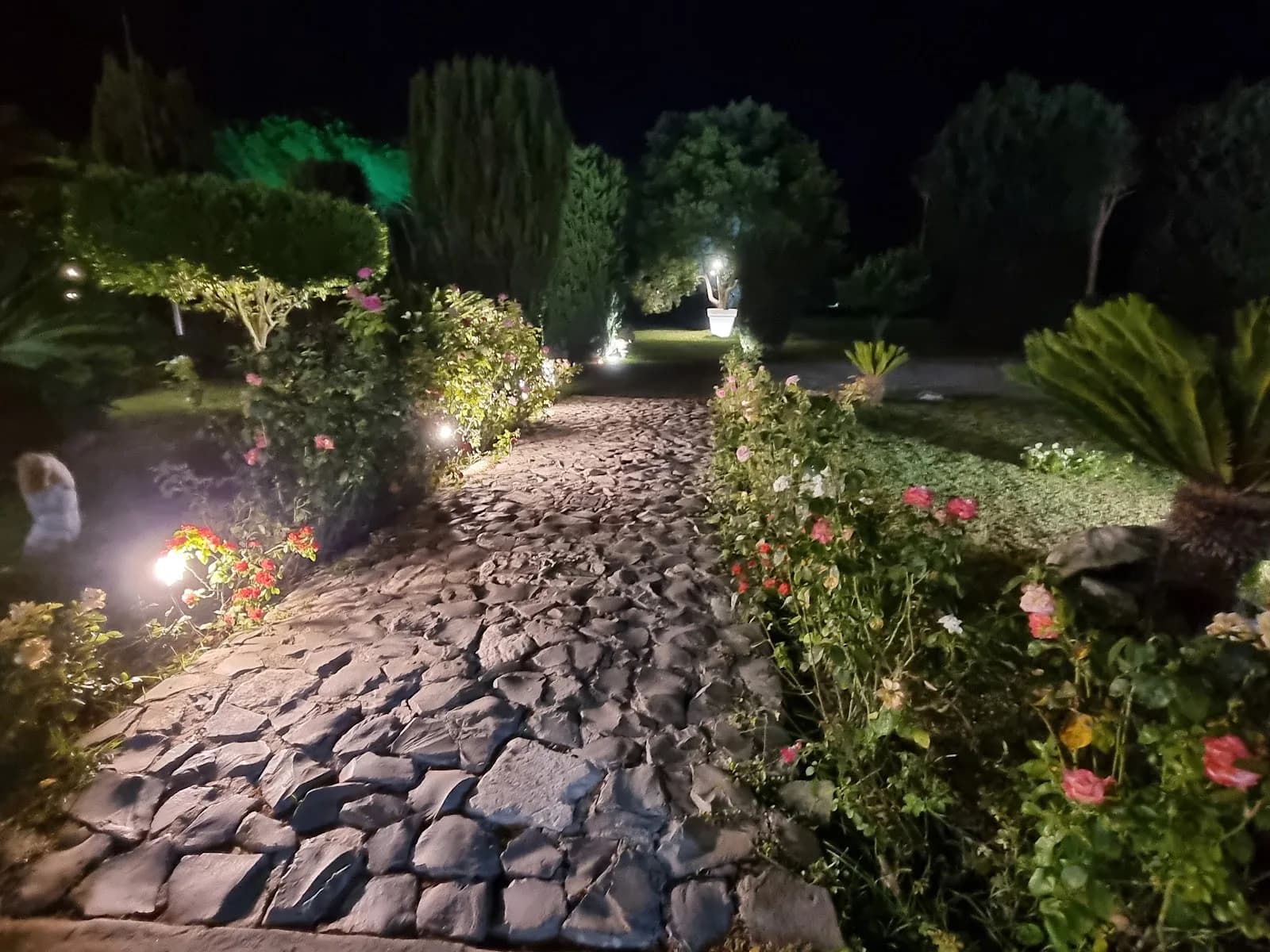 Villa Dino 7