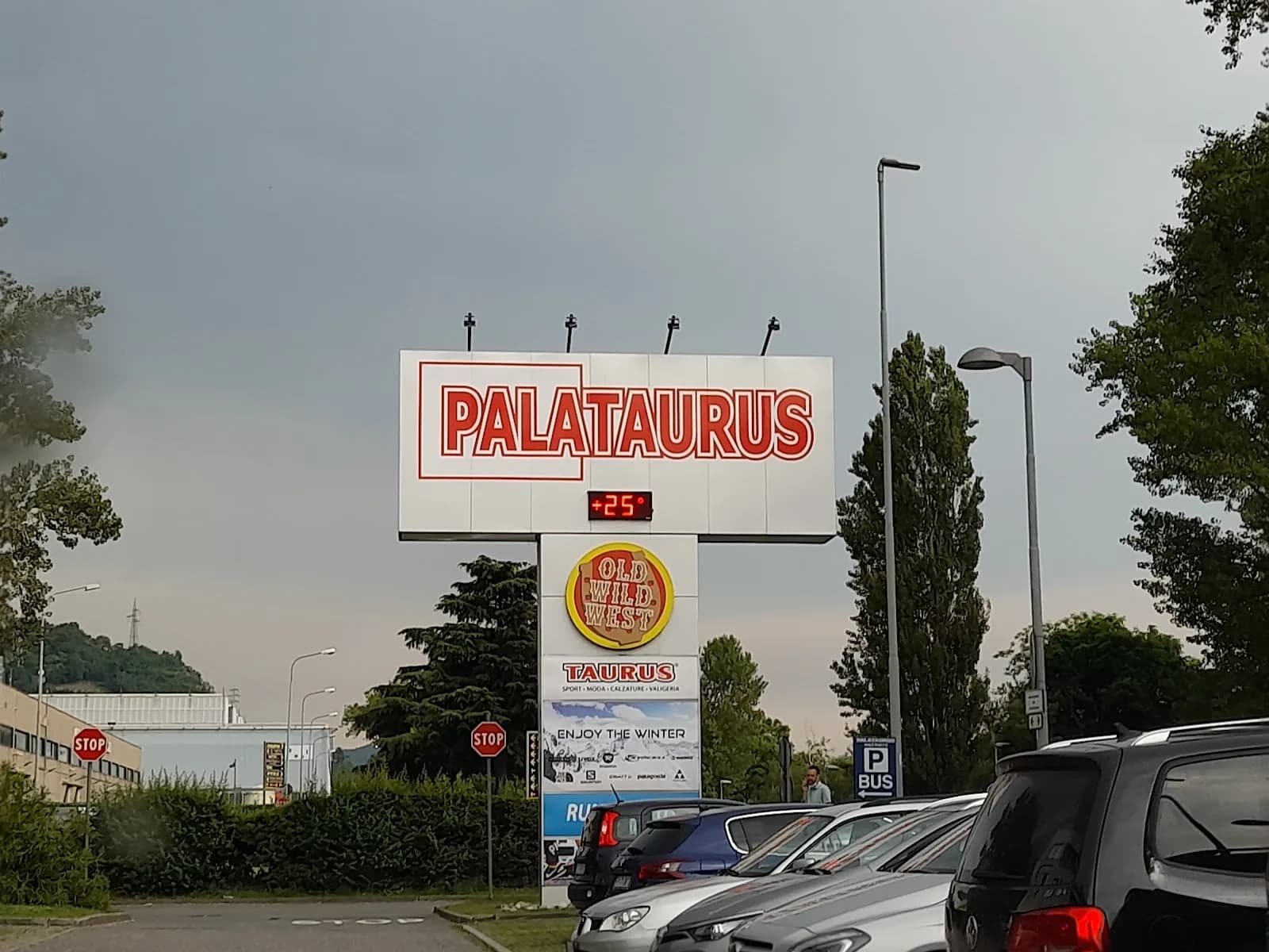 Palataurus
