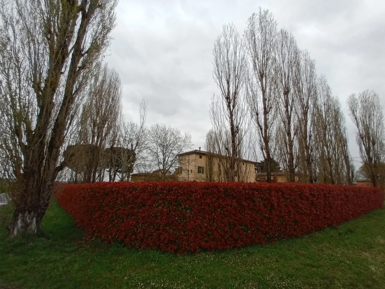 Akasa San Lazzaro