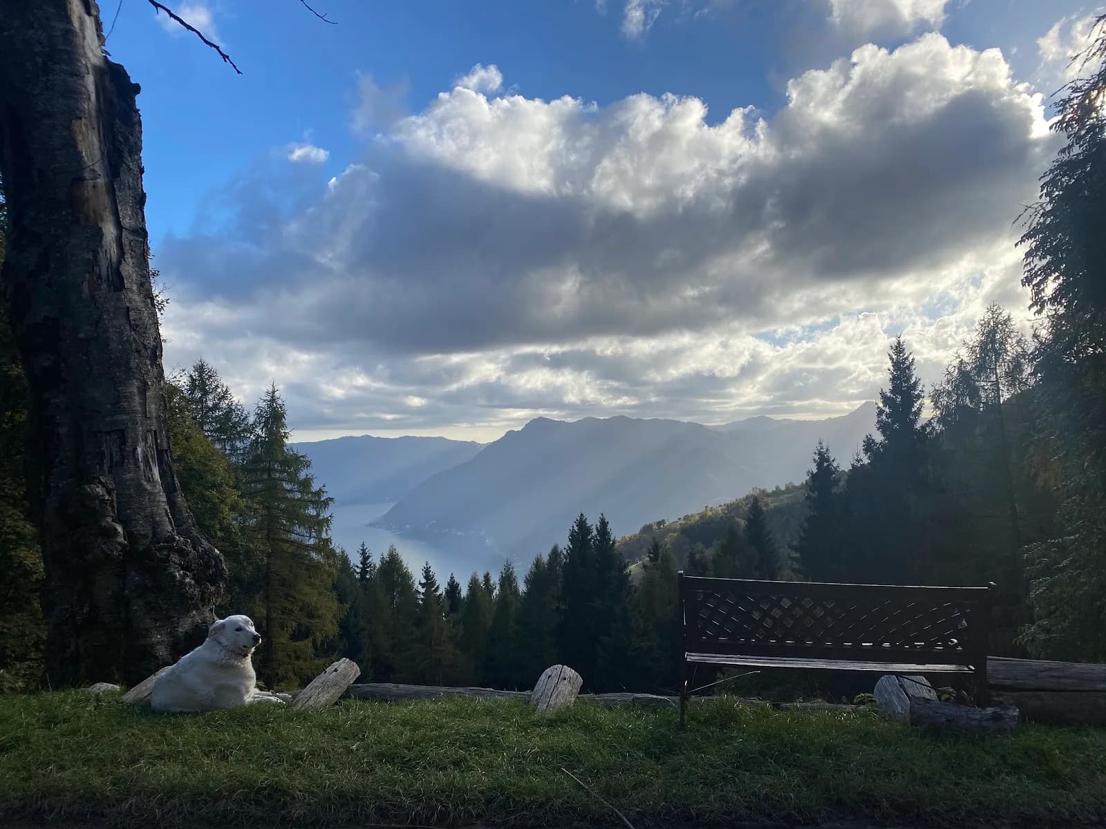 Alpe Di Sala