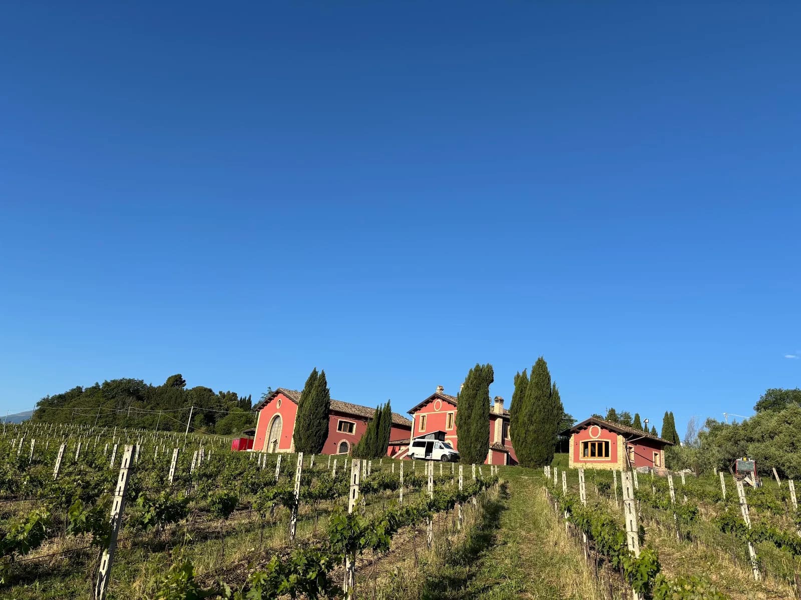 Cantina Derasmo