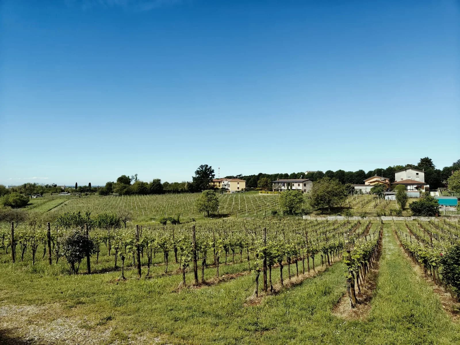 Cantina Peri Bigogno Meeting Ed Eventi