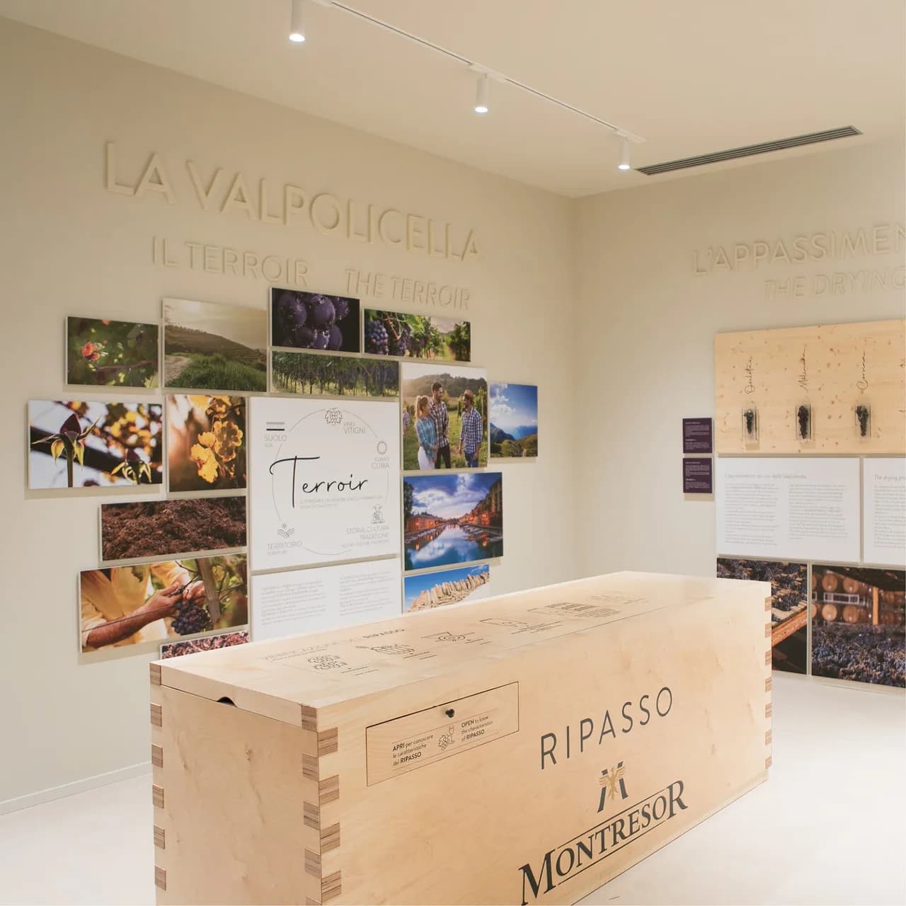Cantine Giacomo Montresor
