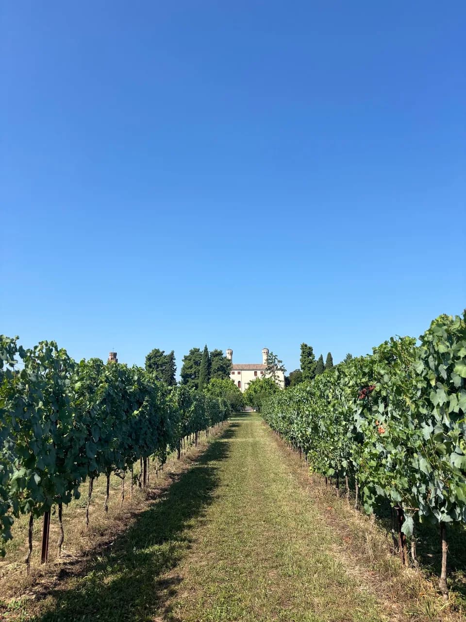 Castello Con Vista