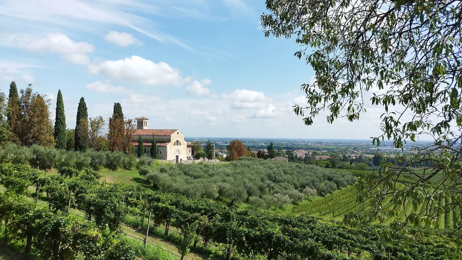 Castello Del Prosecco