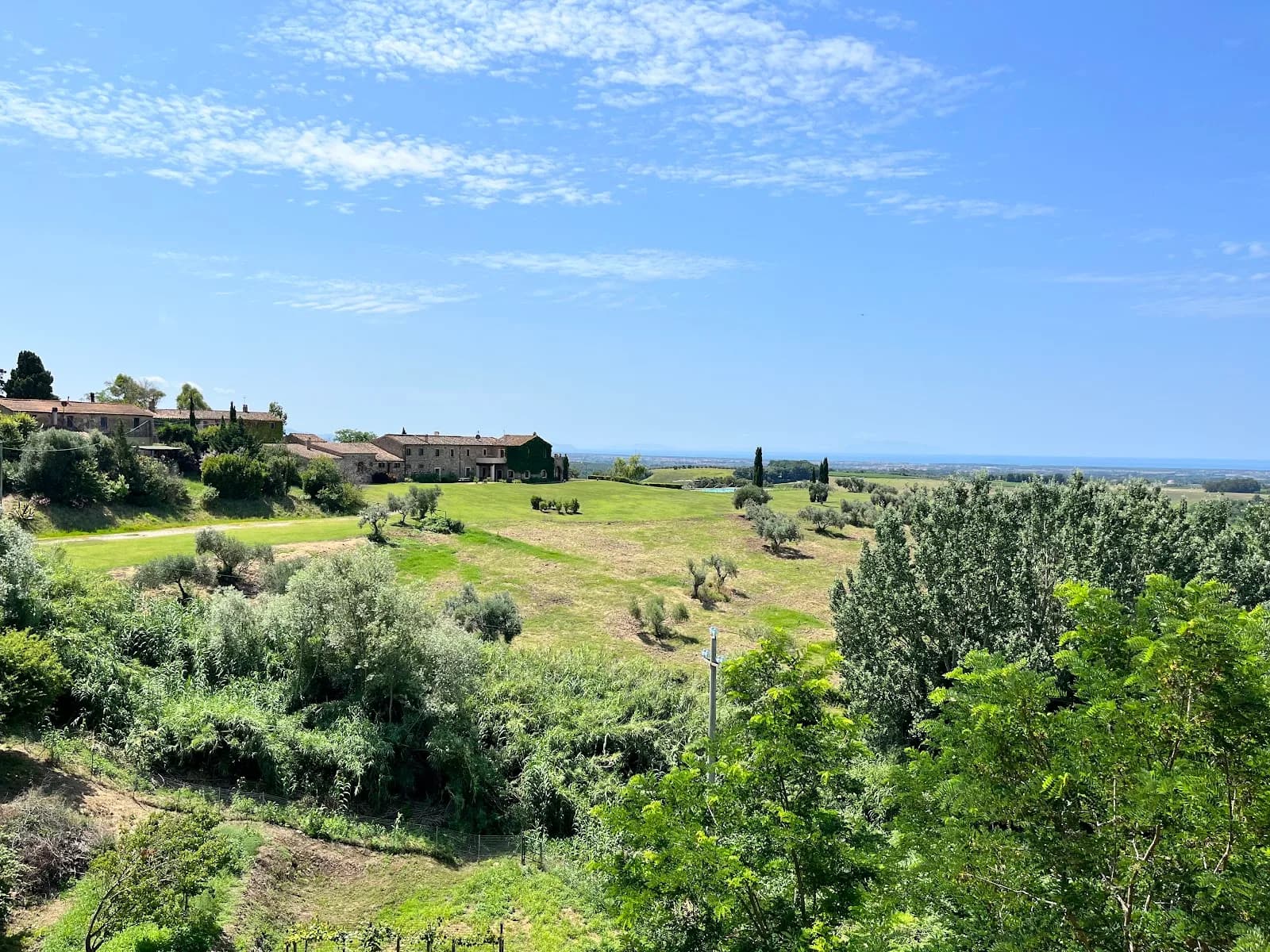 Castello Del Terriccio