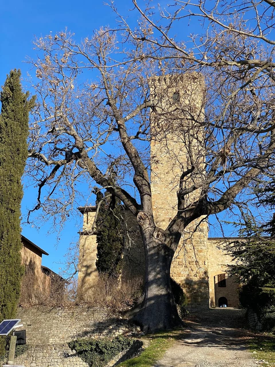 Castello Di Contignaco