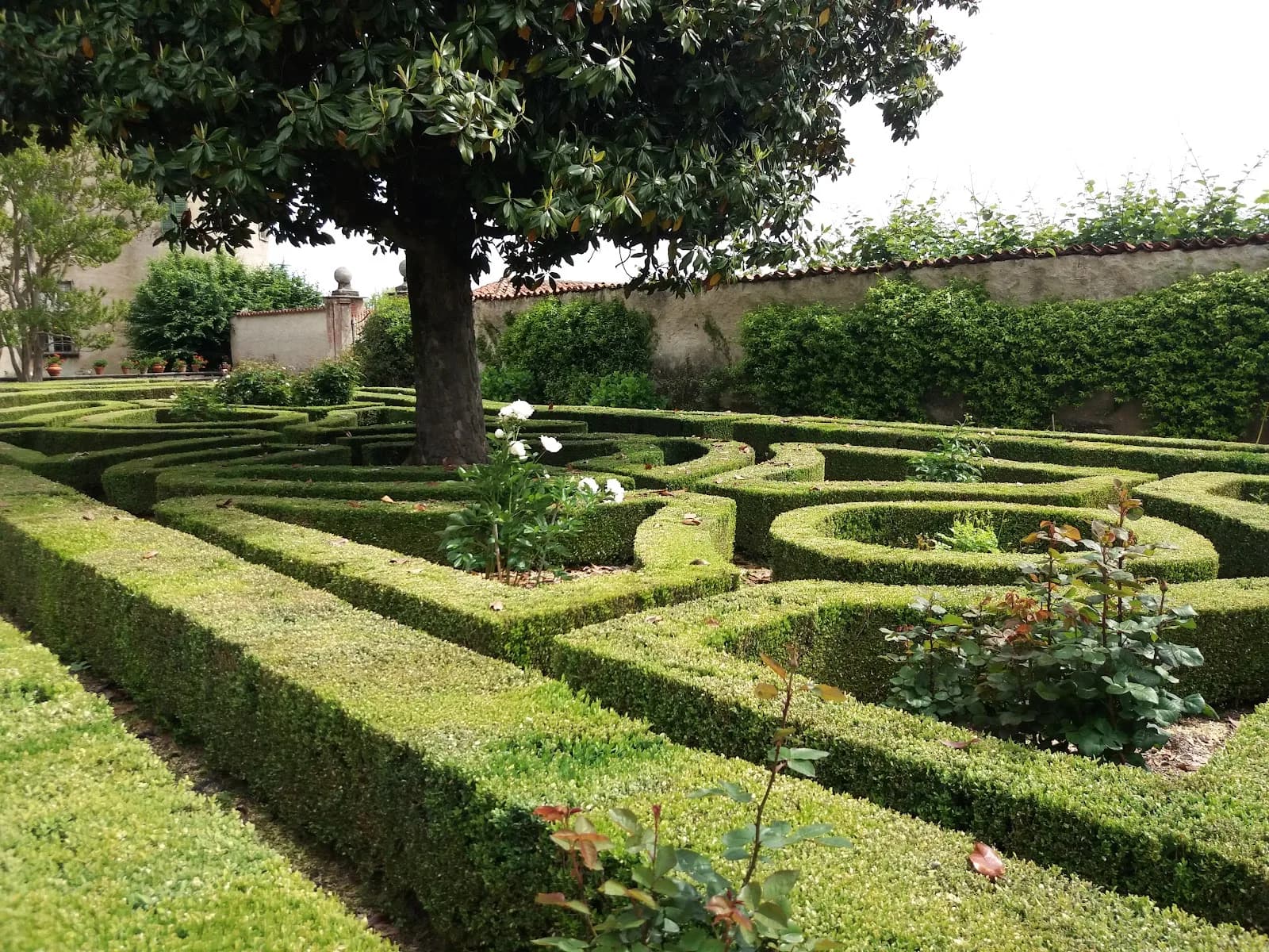 Castello Di Osasco