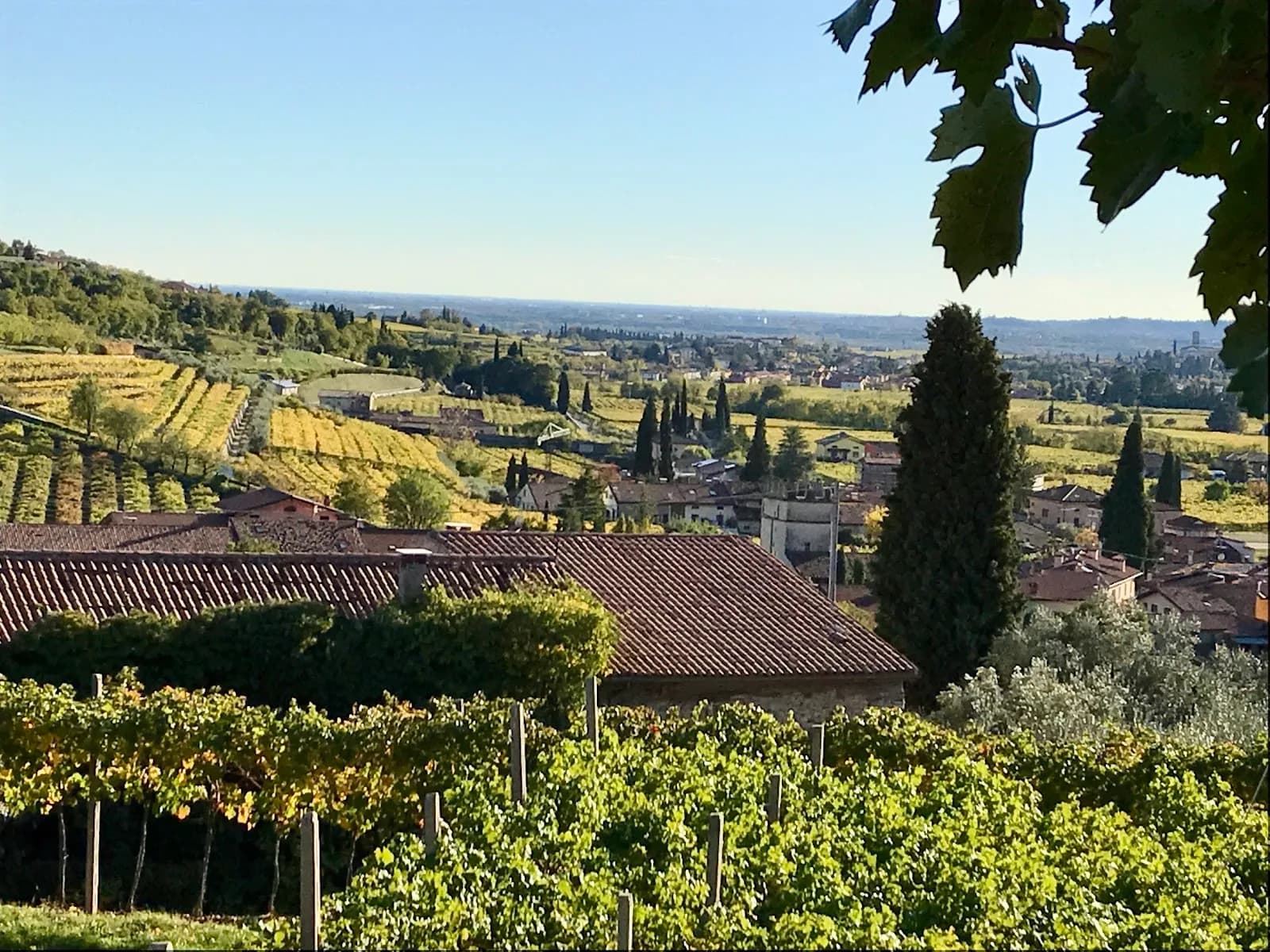 Corte Lavarini