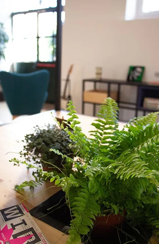 Digital Farm Spazio Eventi E Formazione