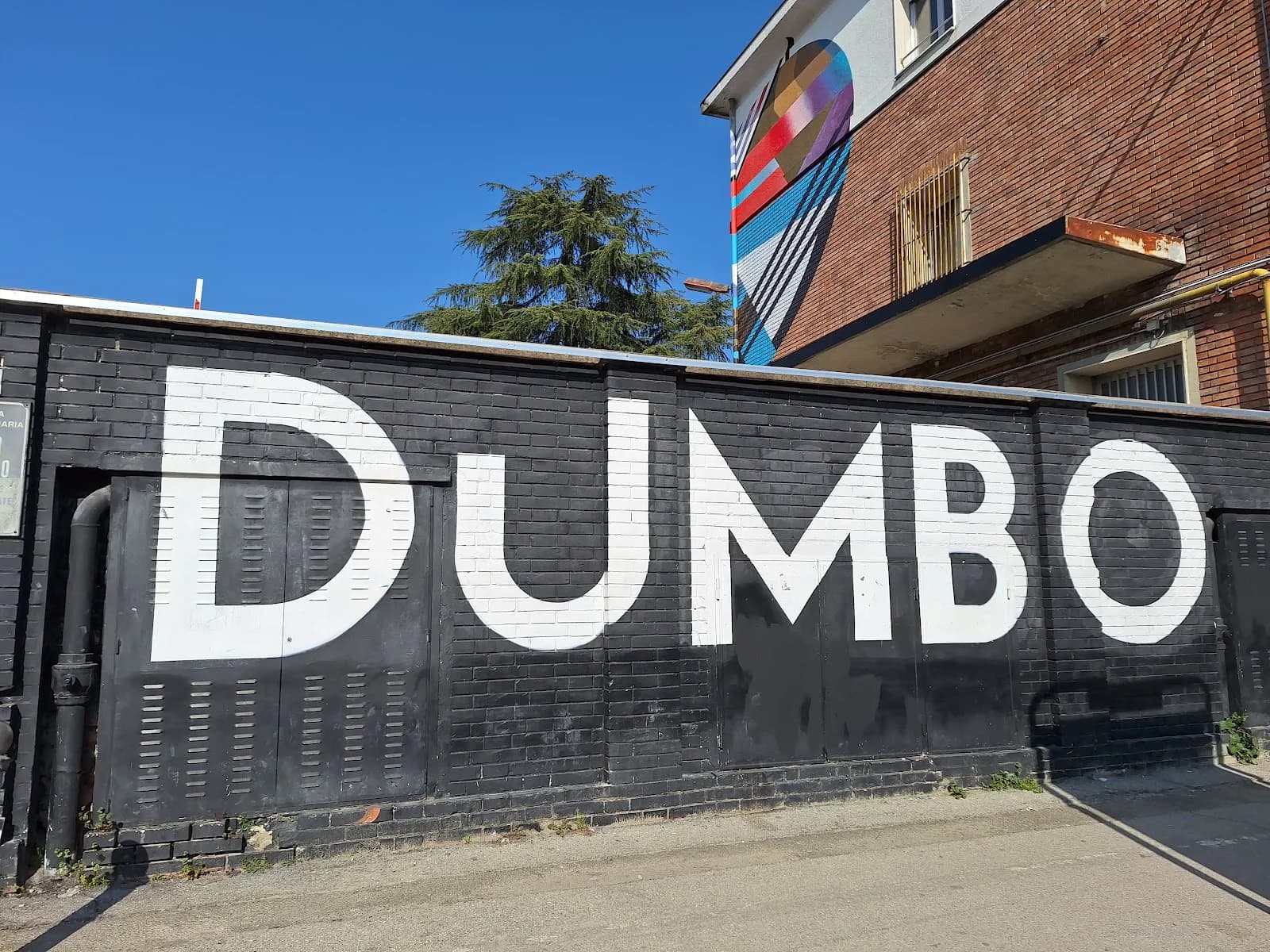 Dumbo