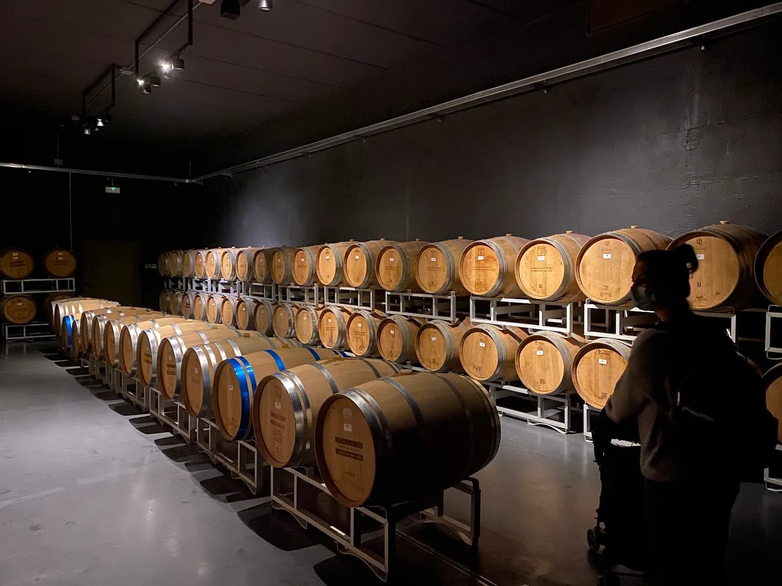 Famiglia Olivini