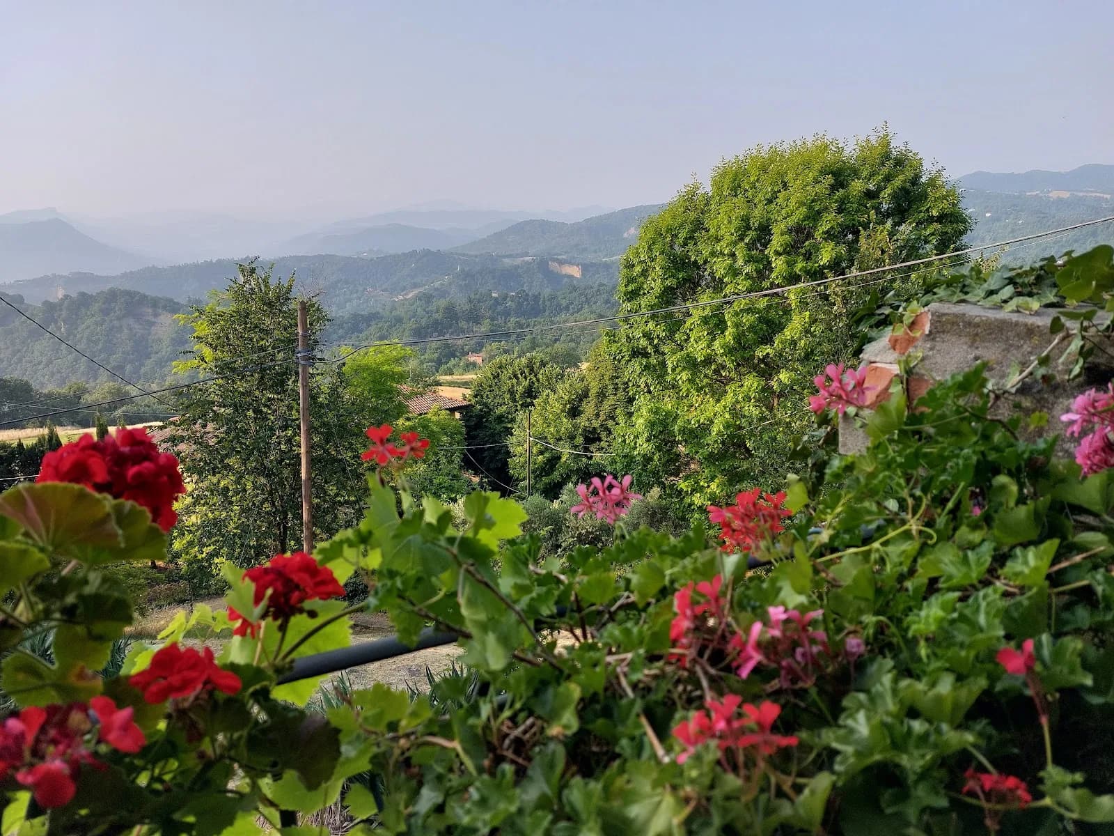 Fattorie Di Montechiaro