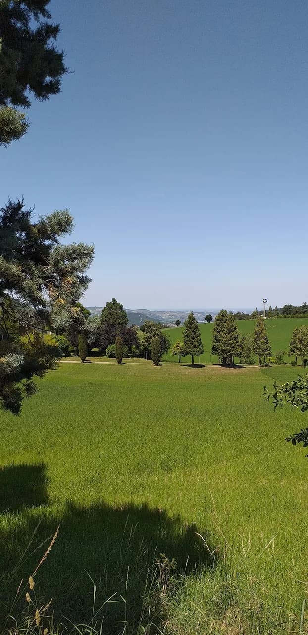 Fattoria La Corte