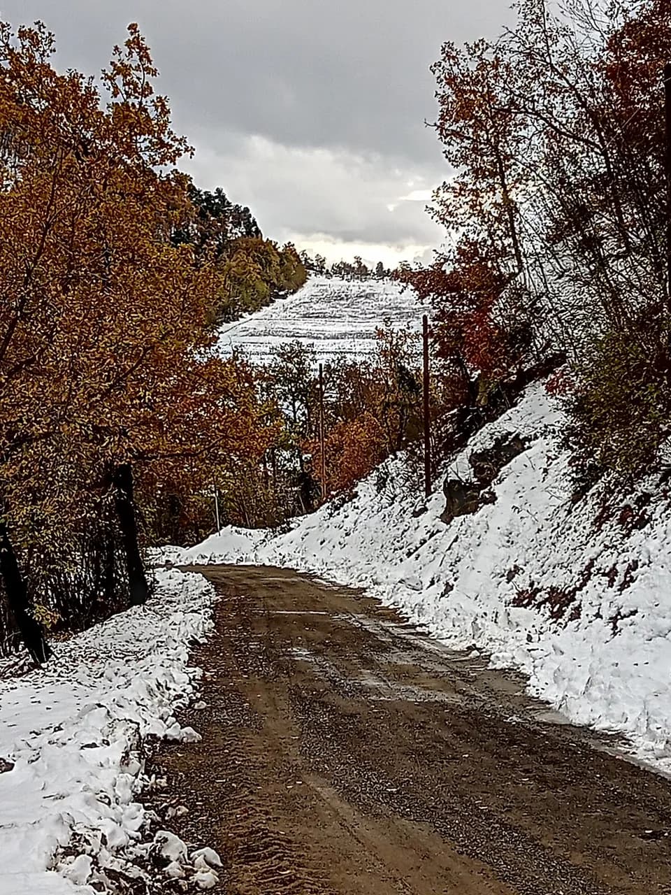 Il Granello