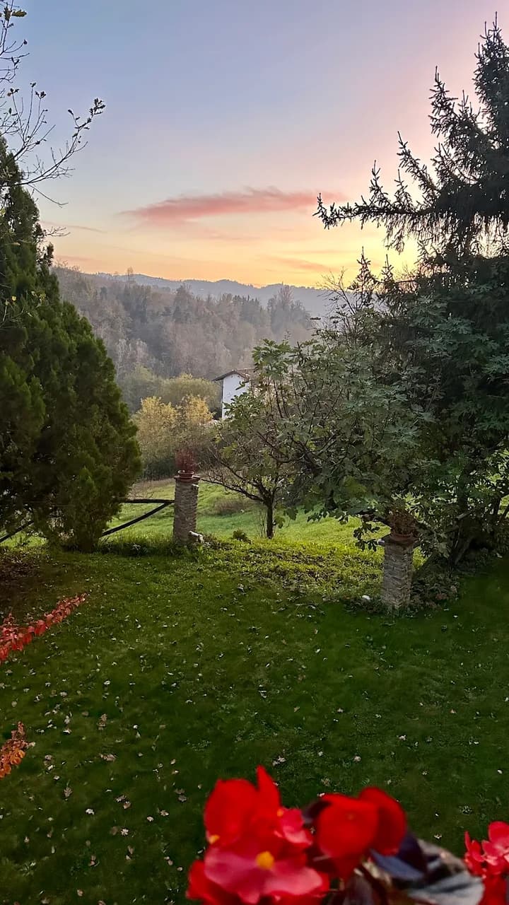 Il Sole Delle Rive