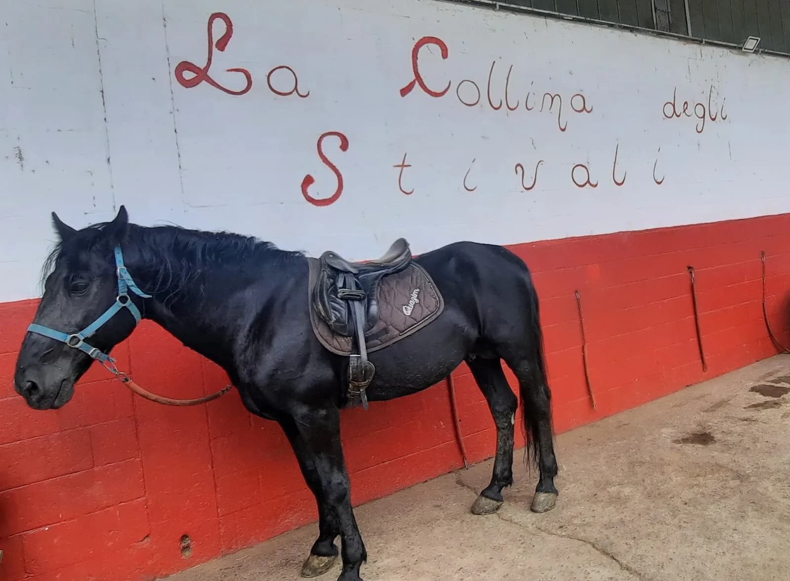 La Collina Degli Stivali