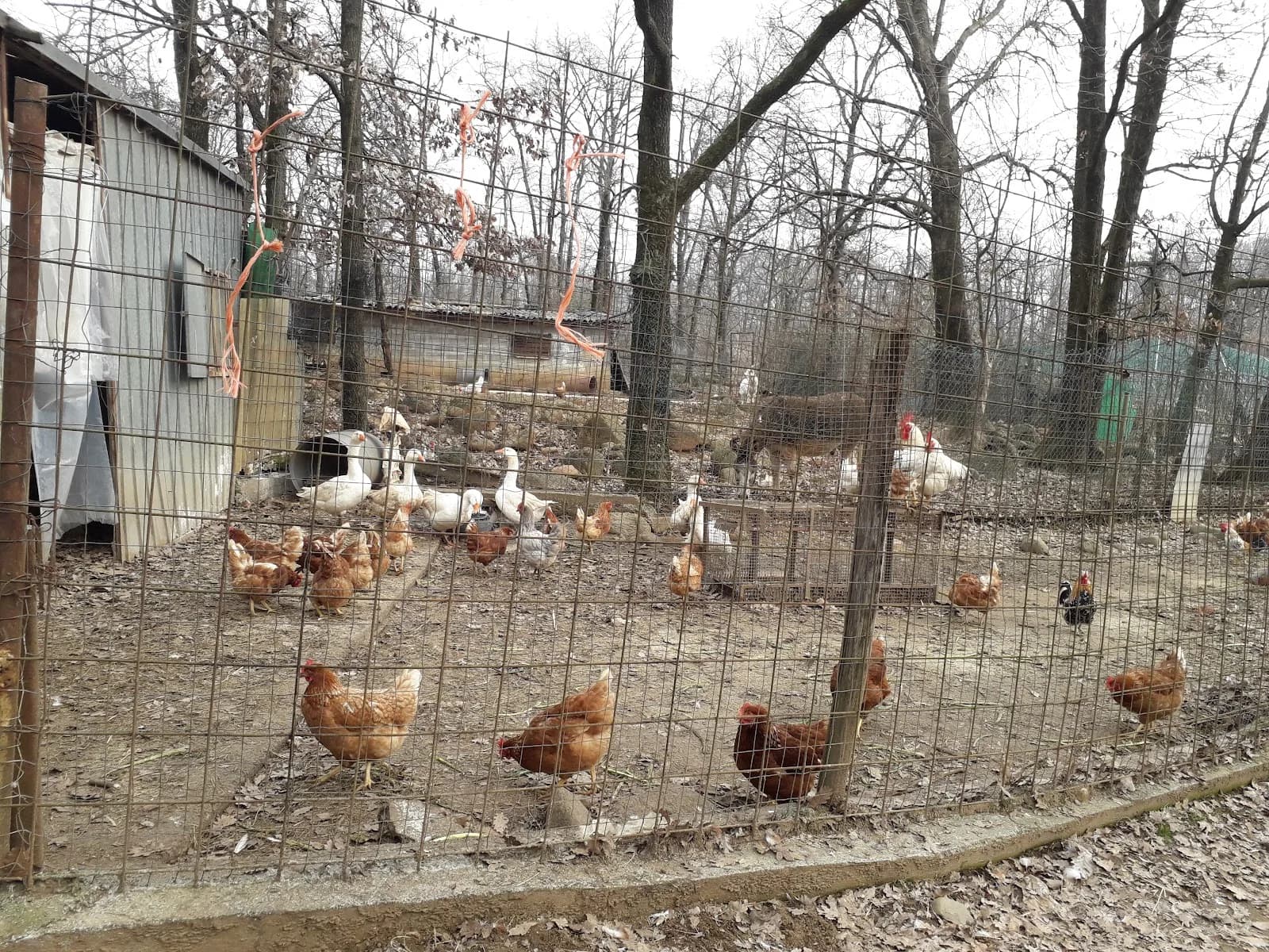 La Collina Degli Stivali