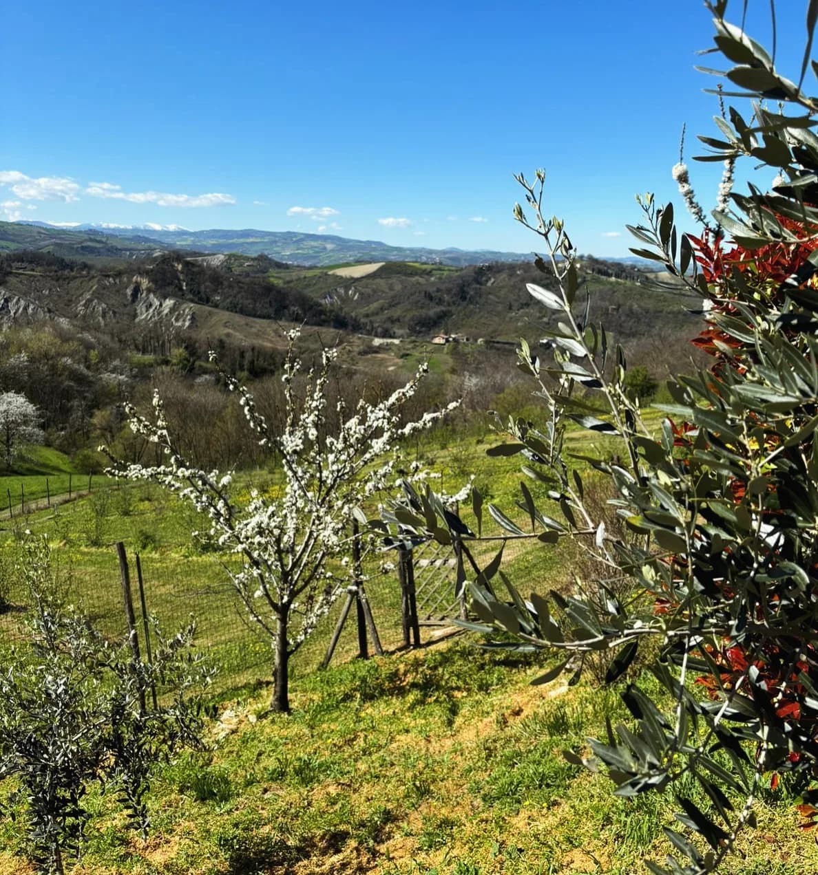 Location Monteronda