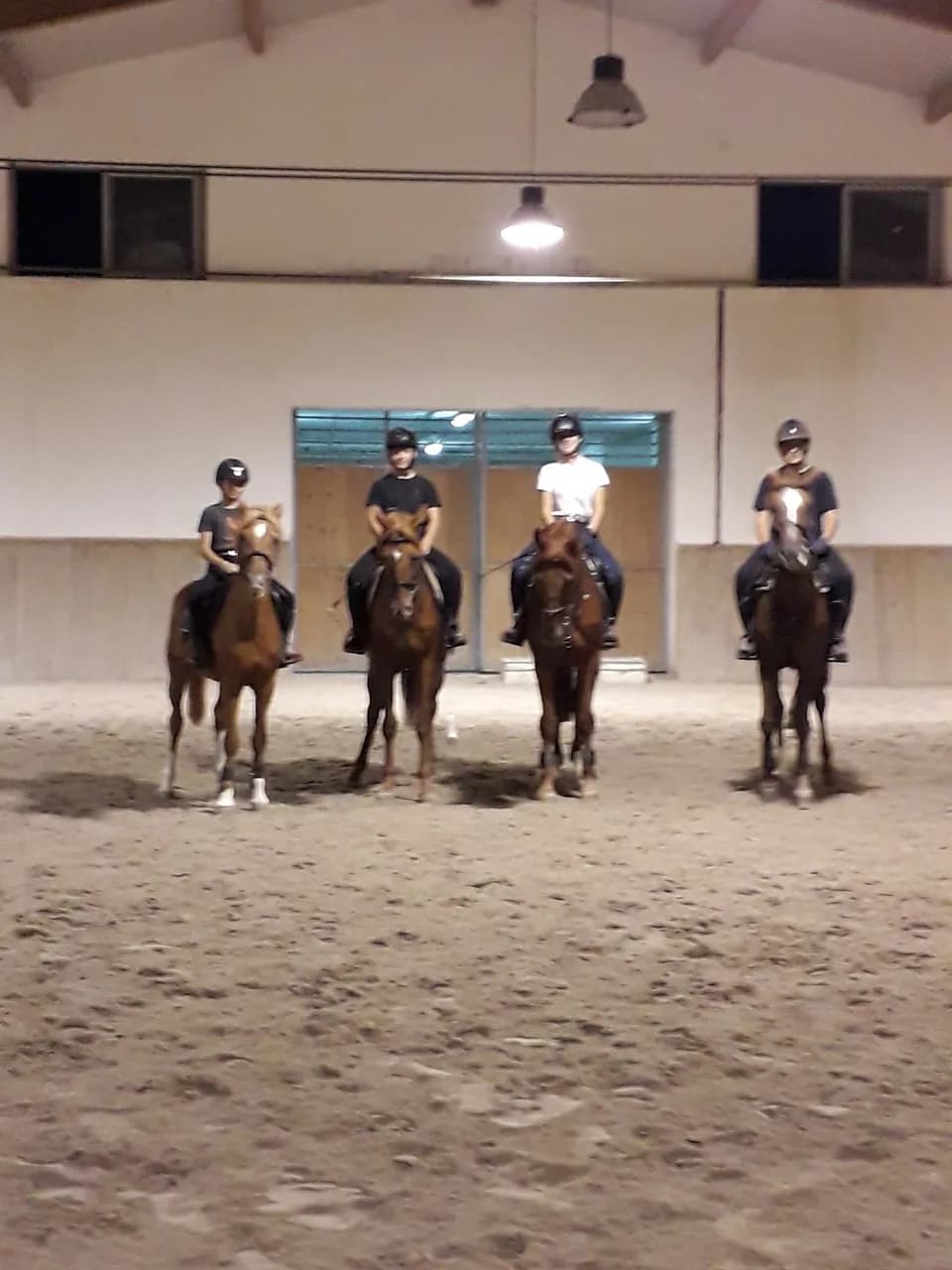 Palahorse