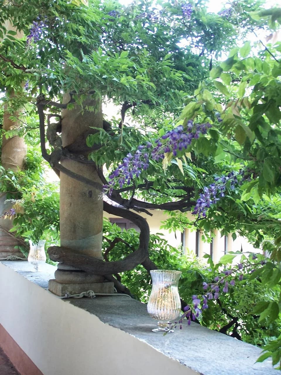 Palazzo Ronchelli