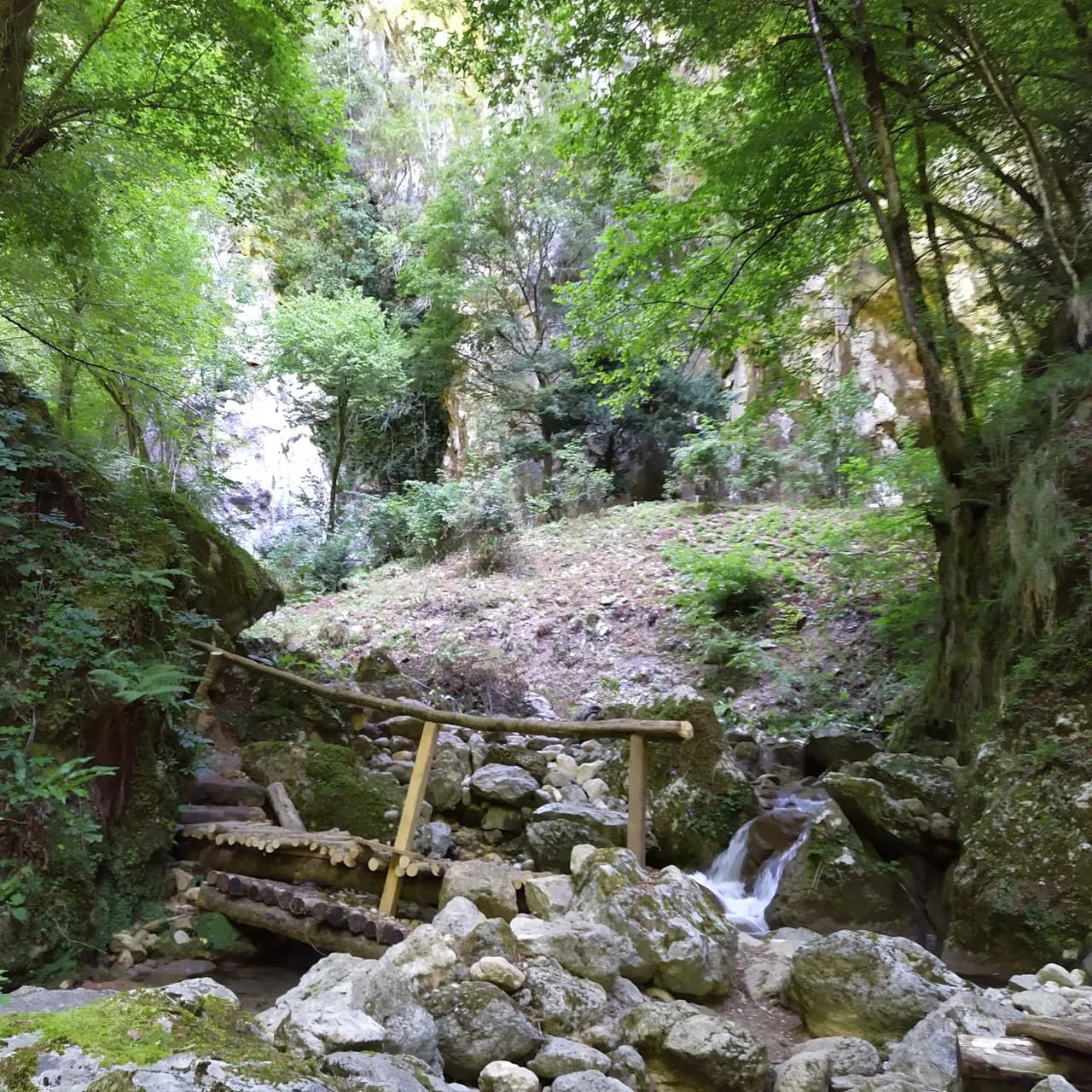 Parco Avventura Levigliese