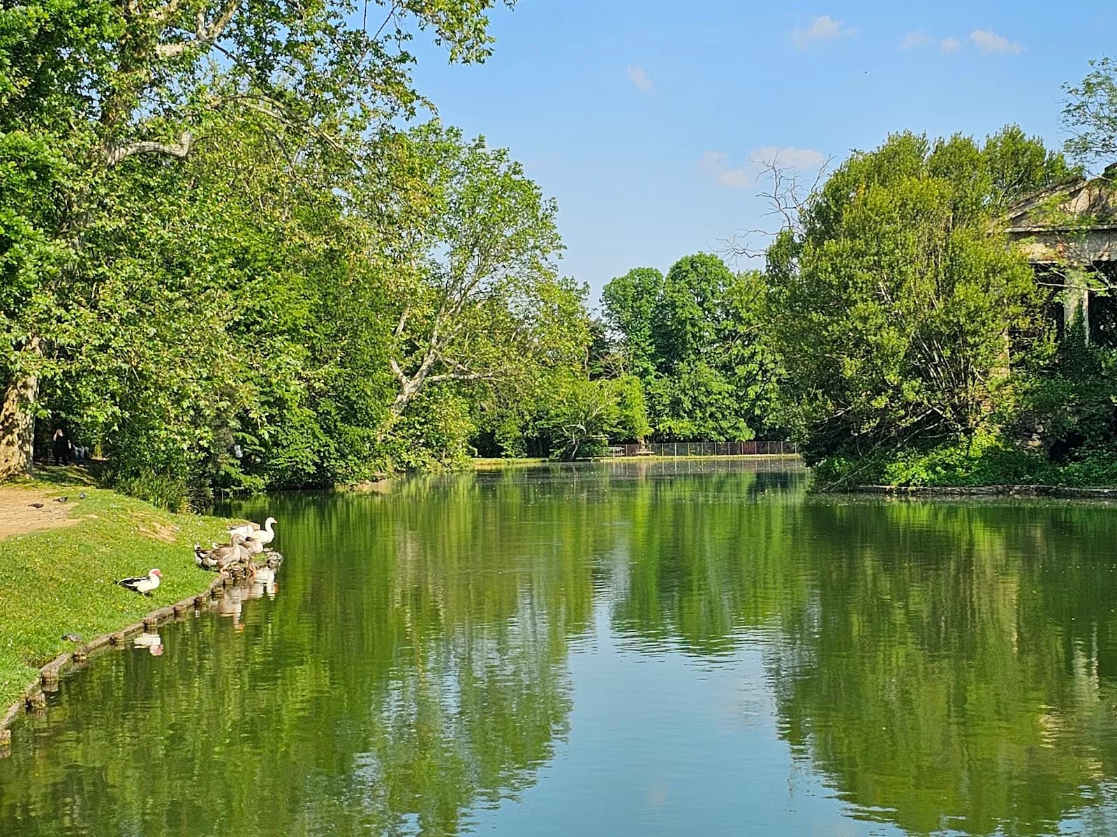 Parco Puccini Bonacchi
