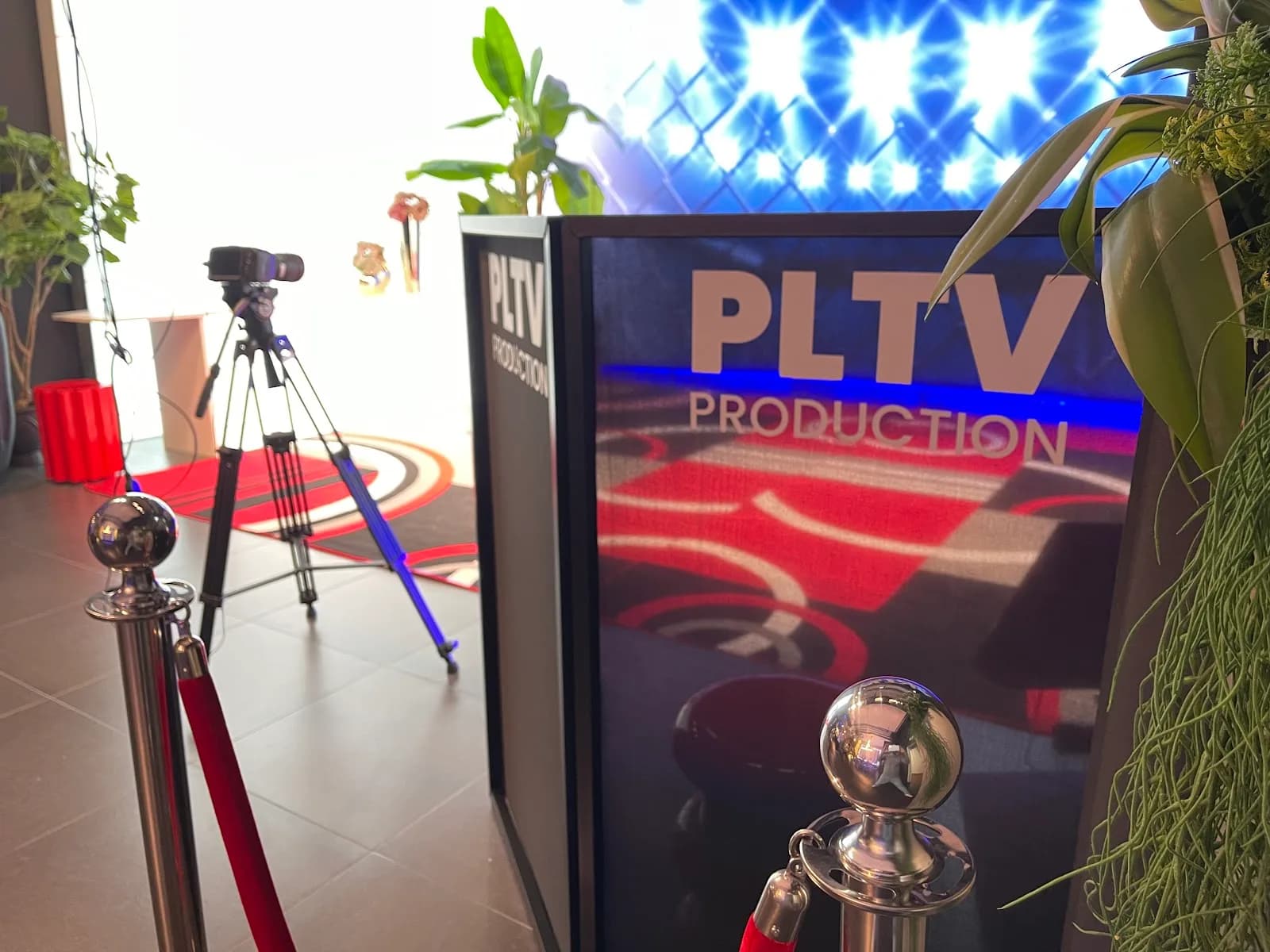 Pltv Studios