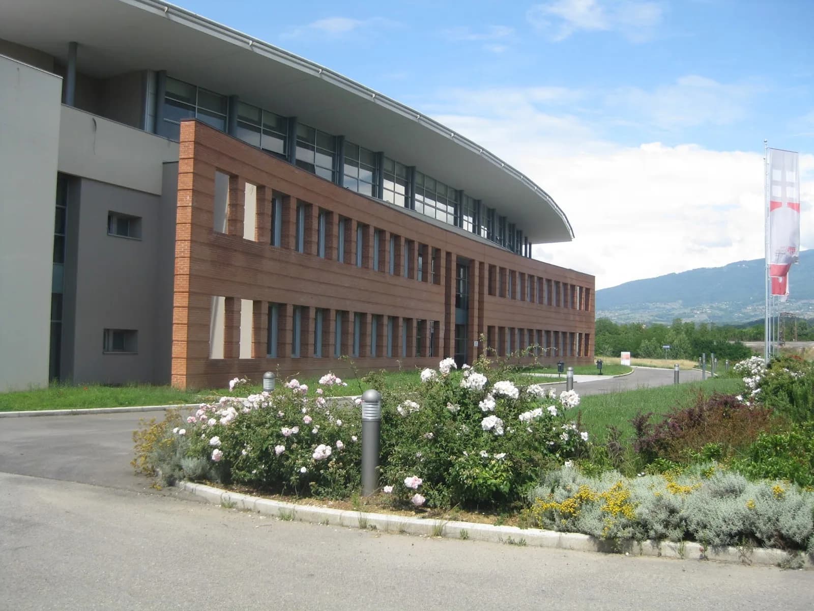 Polo Lionello Bonfanti Meeting Business
