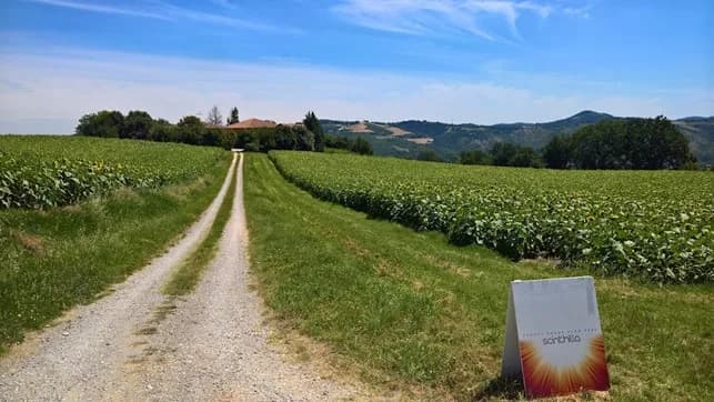 Scintilla Academy Location Per Eventi
