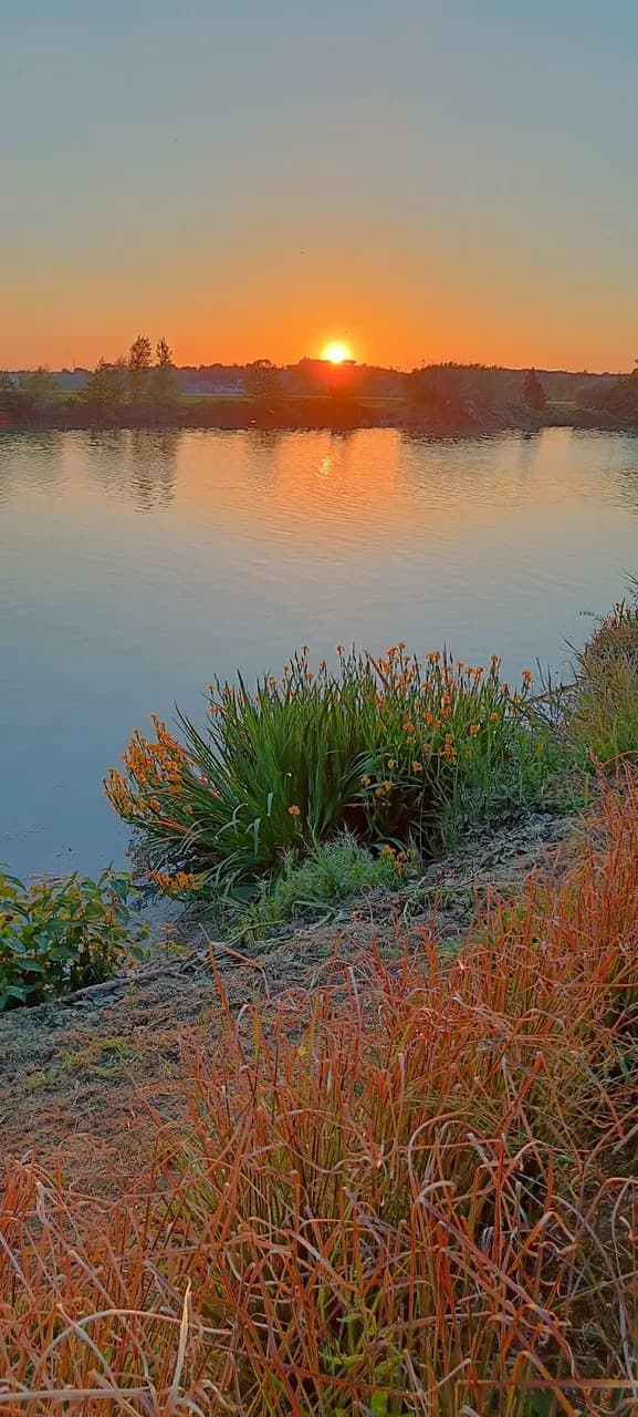 Sunshine River