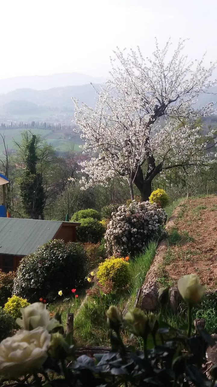 Tenuta Boffalora