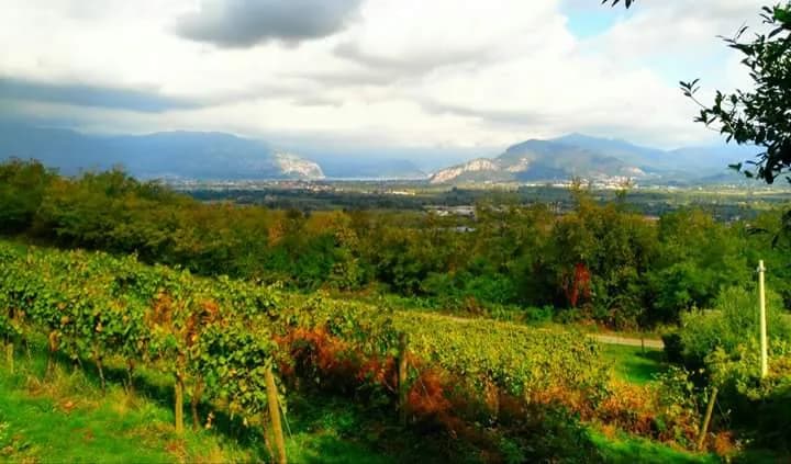 Tenuta Colle Paradiso