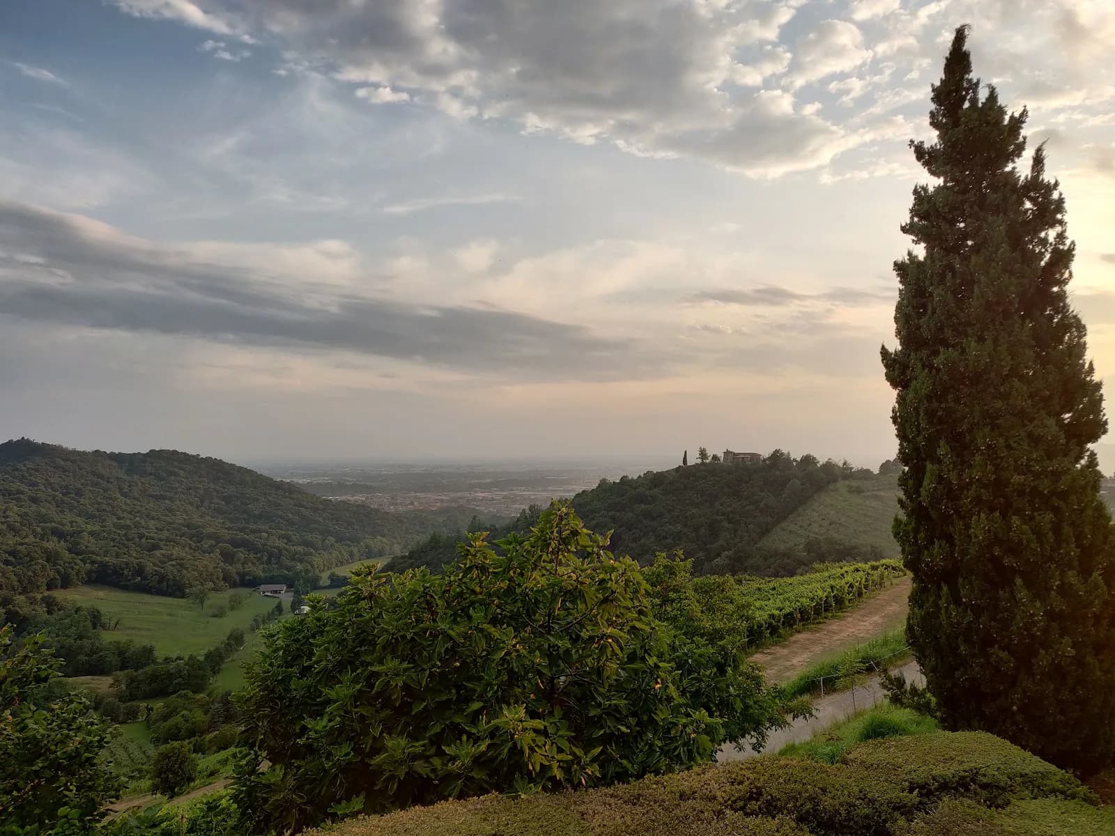 Tenuta Frizzoni