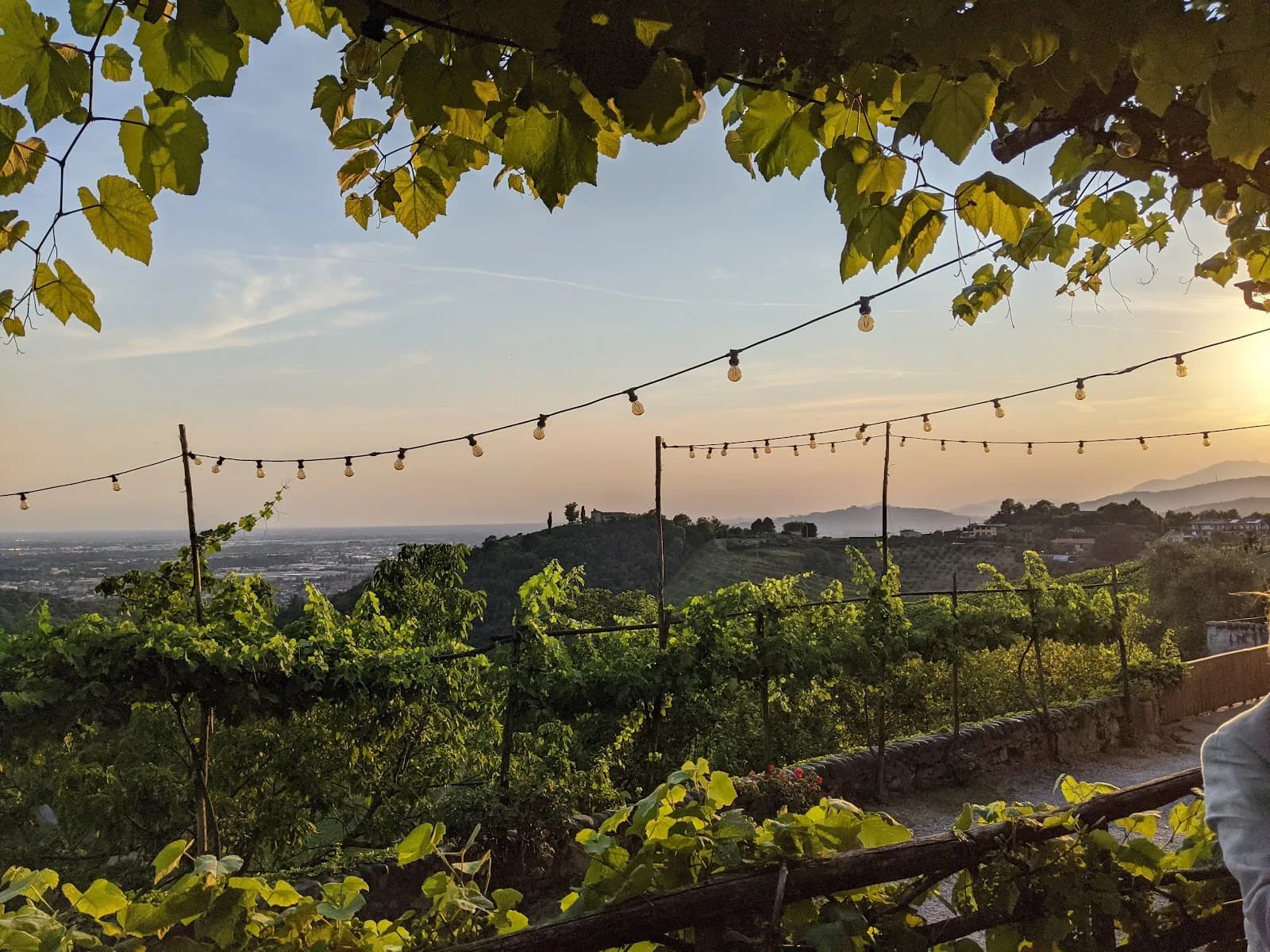 Tenuta Frizzoni
