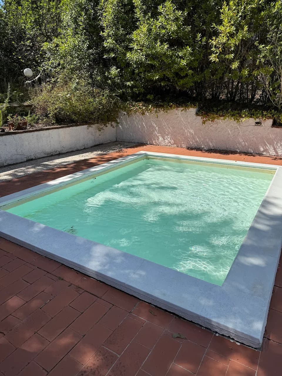 Tenuta Il Pino