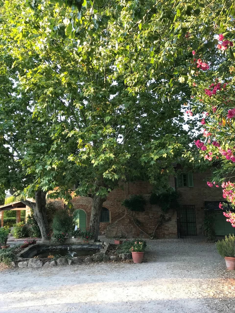 Tenuta Il Pino