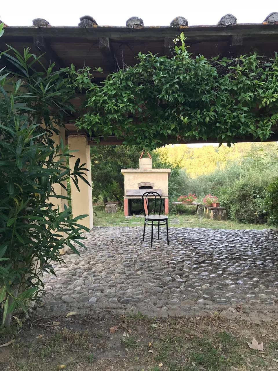 Tenuta Il Pino