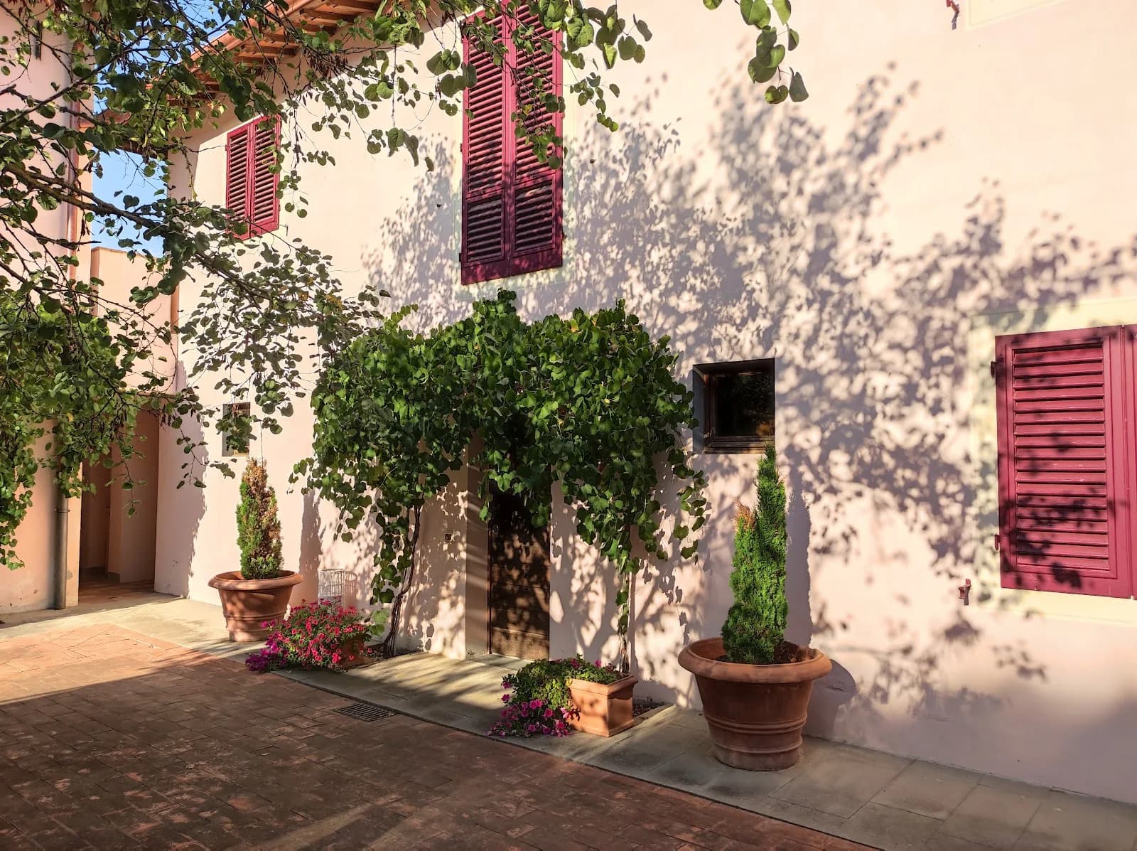 Tenuta La Canonica