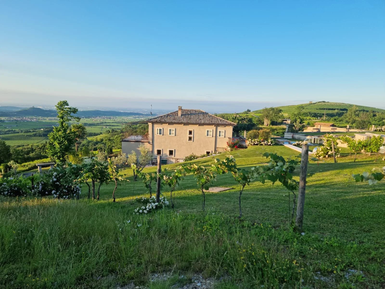 Tenuta Le Cave