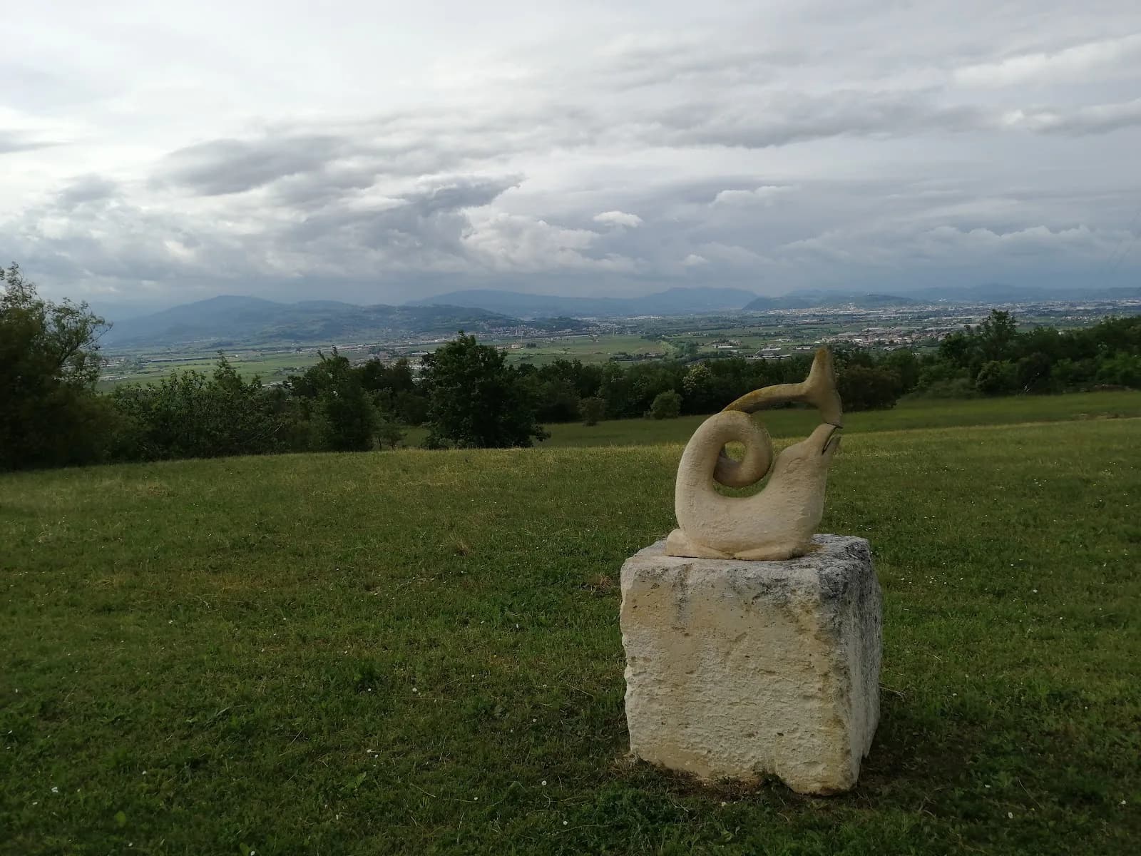 Tenuta Monte Della Nebbia