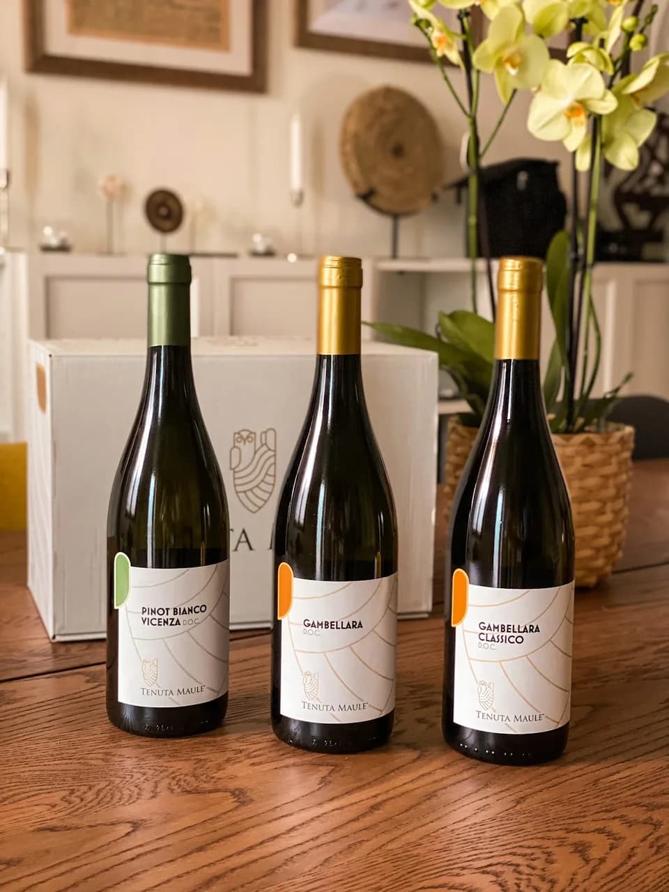 Tenuta Maule