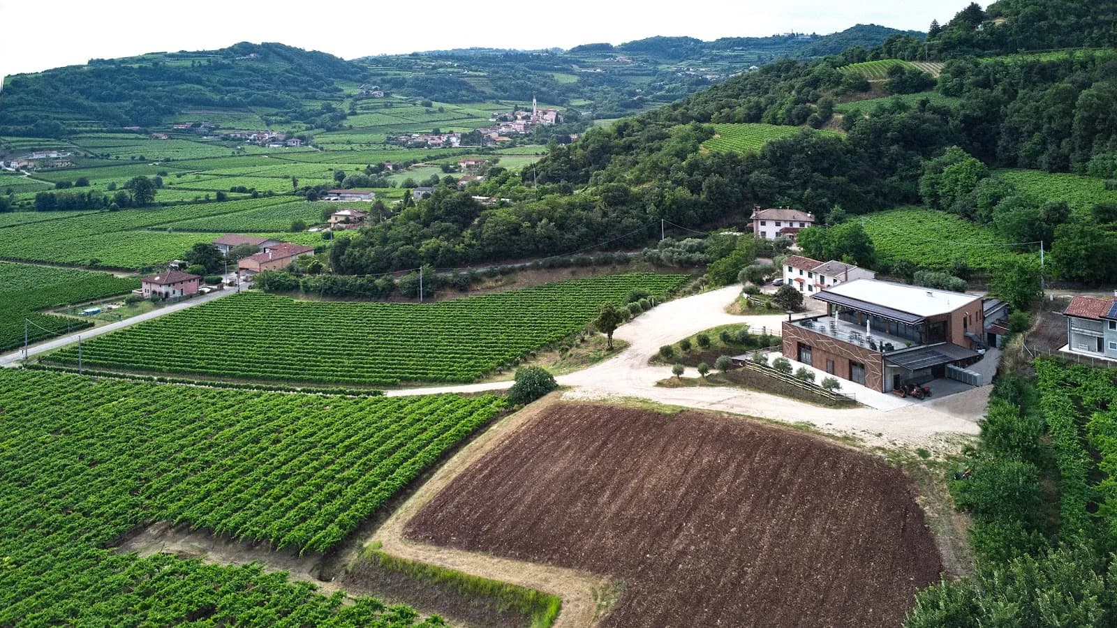 Tenuta Maule