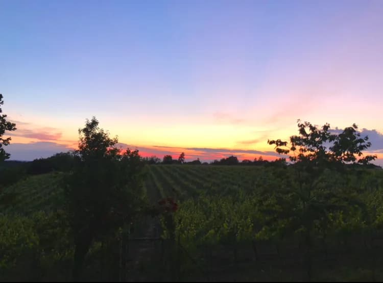 Tenuta San Lorenzo