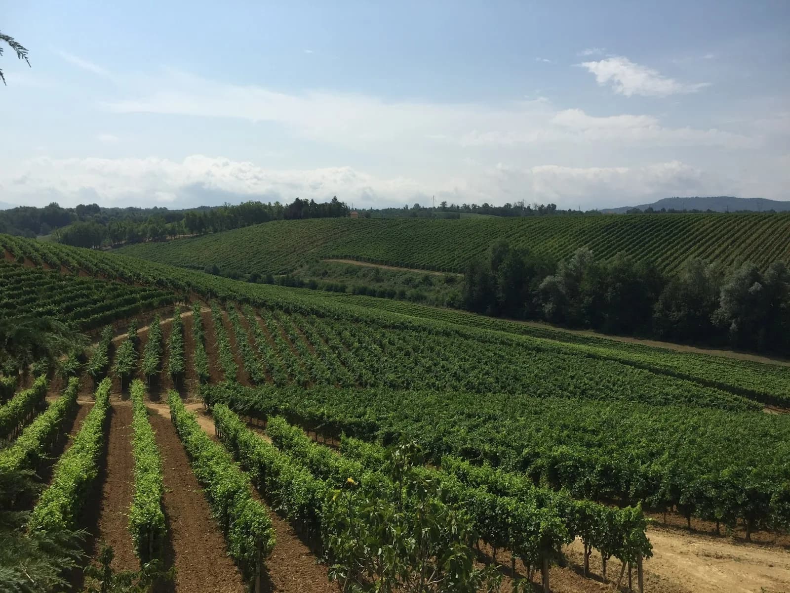 Tenuta San Lorenzo
