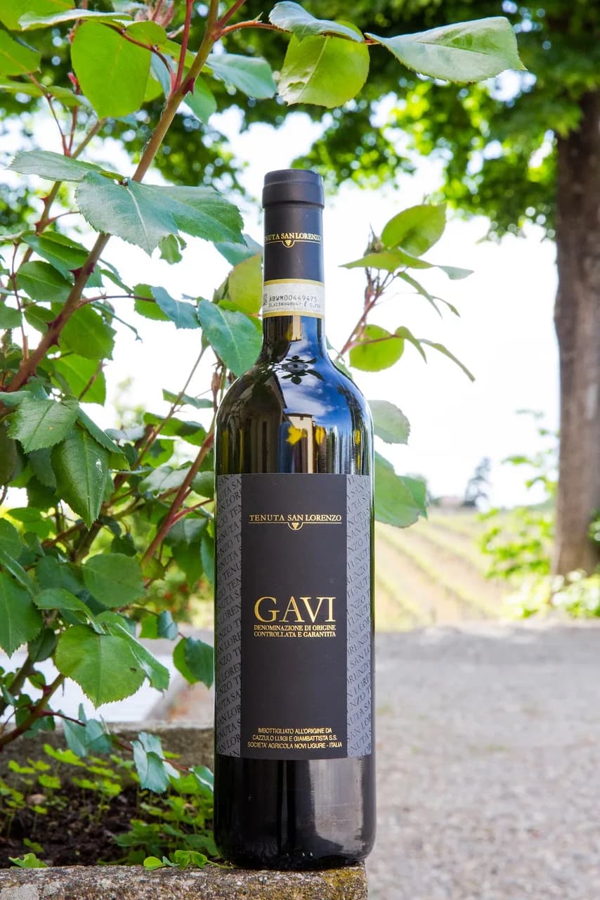 Tenuta San Lorenzo