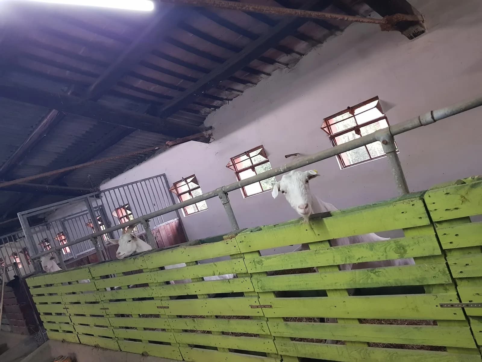 Terme Dellanima