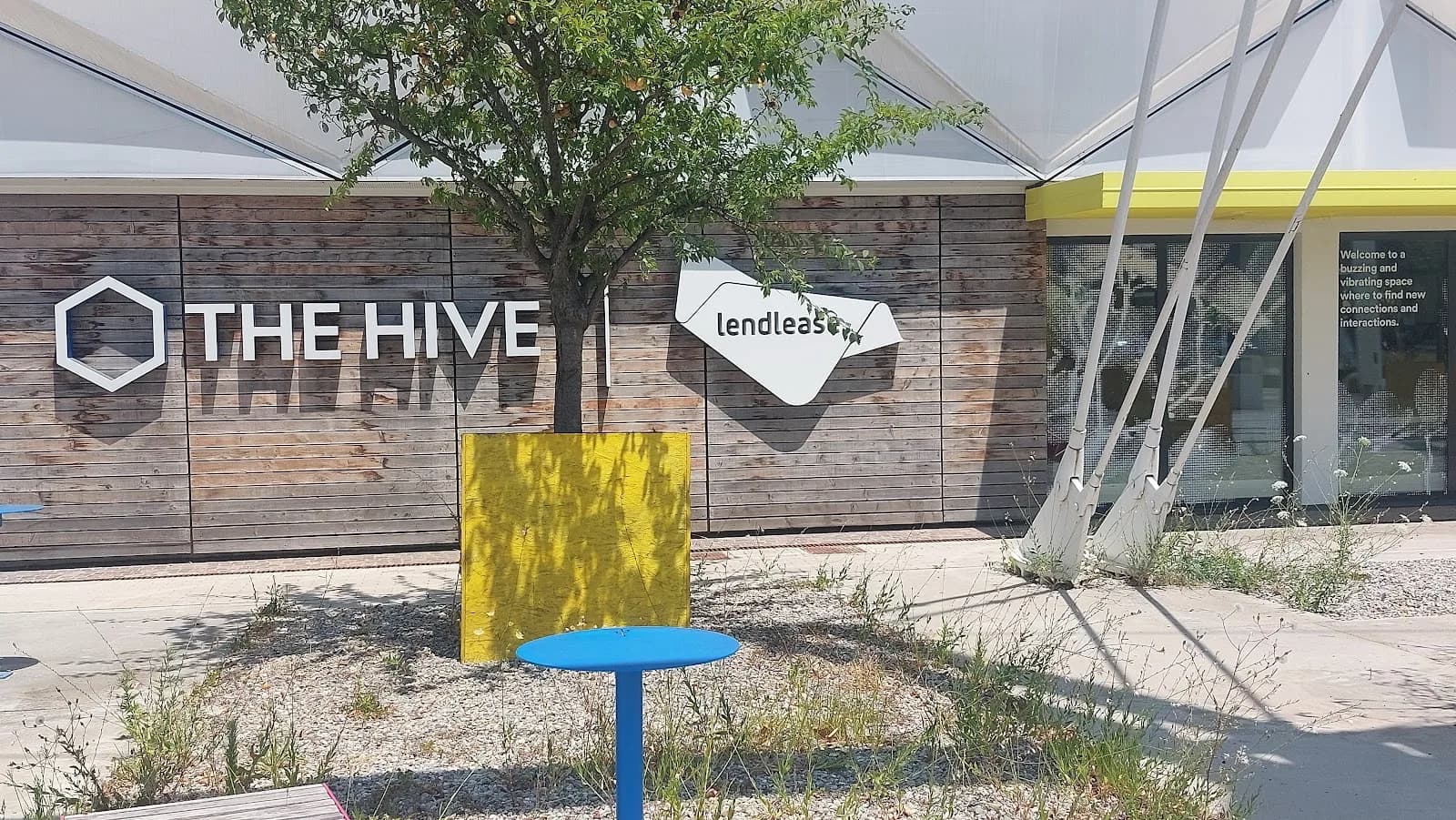 The Hive