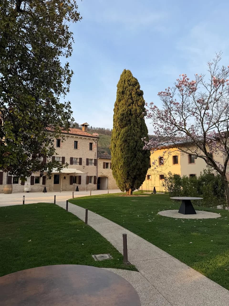 Vecchia Monchera