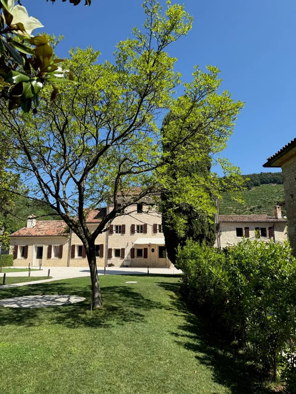 Vecchia Monchera